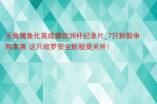 乐鱼捕鱼化茧成蝶欧洲杯纪录片_7只新股申购来袭 这只收罗安全新股受关怀！