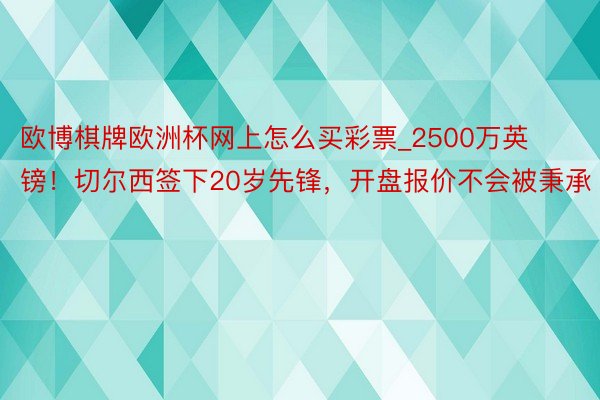 欧博棋牌欧洲杯网上怎么买彩票_2500万英镑！切尔西签下20岁先锋，开盘报价不会被秉承