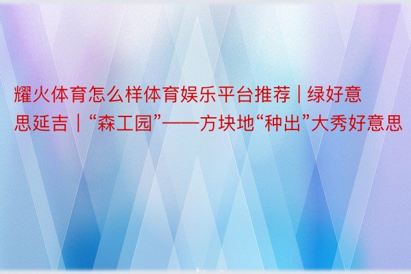 耀火体育怎么样体育娱乐平台推荐 | 绿好意思延吉｜“森工园”——方块地“种出”大秀好意思