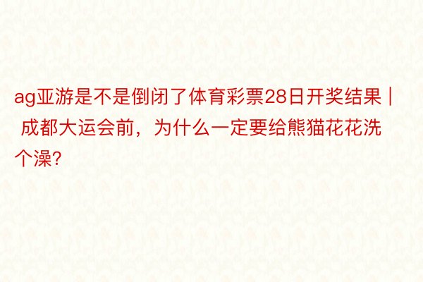 ag亚游是不是倒闭了体育彩票28日开奖结果 | 成都大运会前，为什么一定要给熊猫花花洗个澡？