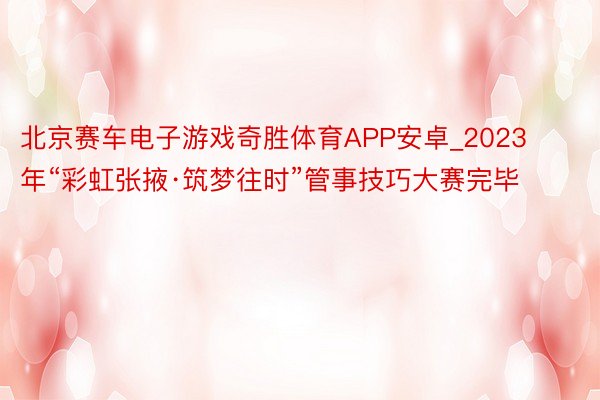 北京赛车电子游戏奇胜体育APP安卓_2023年“彩虹张掖·筑梦往时”管事技巧大赛完毕