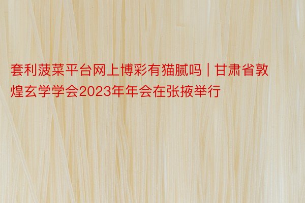 套利菠菜平台网上博彩有猫腻吗 | 甘肃省敦煌玄学学会2023年年会在张掖举行